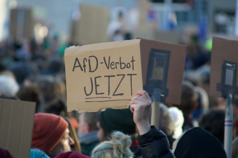 Mit Verbotsantrag und breiter demokratischer Mehrheit gegen die antidemokratische, rechtsextreme AfD