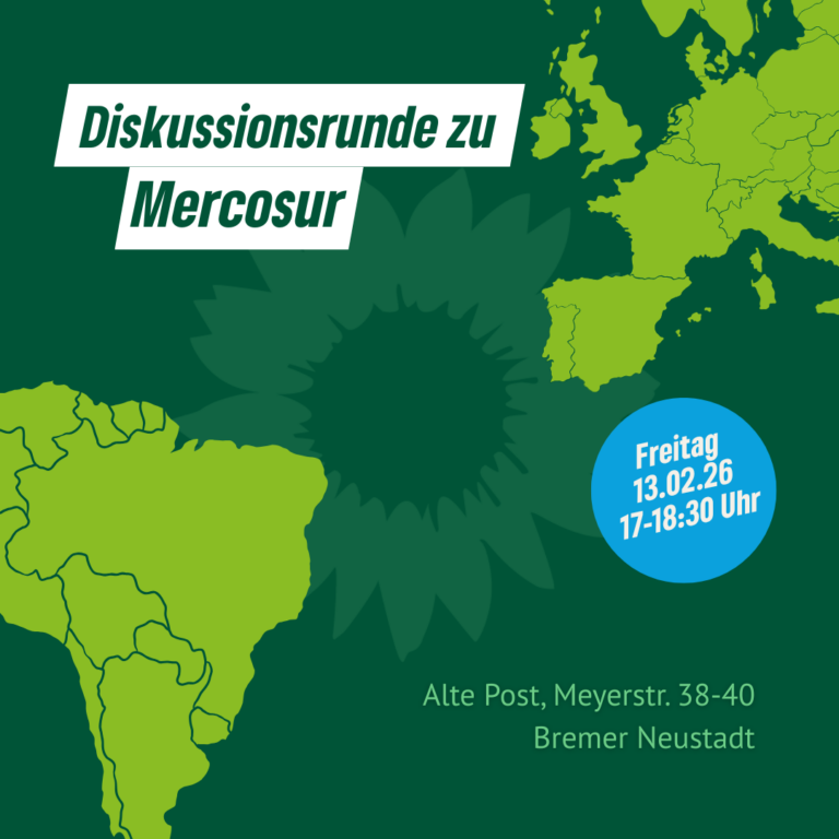 Diskussionsrunde zu Mercosur